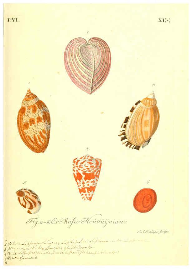 Reproducción/Reproduction 6096118507: Vergnügen der Augen und des Gemüths. v.2 atlas. [Nuremberg :1757