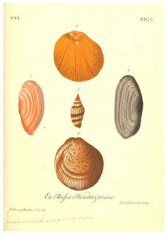 Reproducción/Reproduction 6096118725: Vergnügen der Augen und des Gemüths. v.2 atlas. [Nuremberg :1757