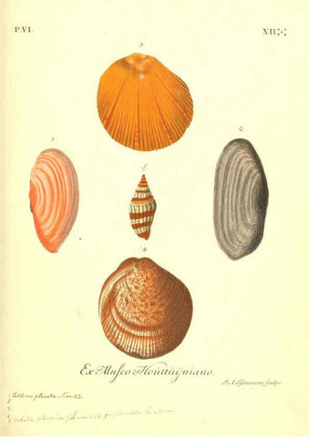 Reproducción/Reproduction 6096118725: Vergnügen der Augen und des Gemüths. v.2 atlas. [Nuremberg :1757