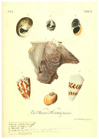 Reproducción/Reproduction 6096119171: Vergnügen der Augen und des Gemüths. v.2 atlas. [Nuremberg :1757