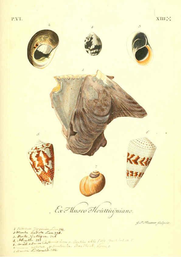 Reproducción/Reproduction 6096119171: Vergnügen der Augen und des Gemüths. v.2 atlas. [Nuremberg :1757