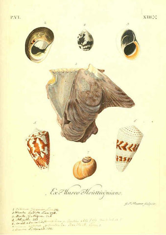 Reproducción/Reproduction 6096119171: Vergnügen der Augen und des Gemüths. v.2 atlas. [Nuremberg :1757