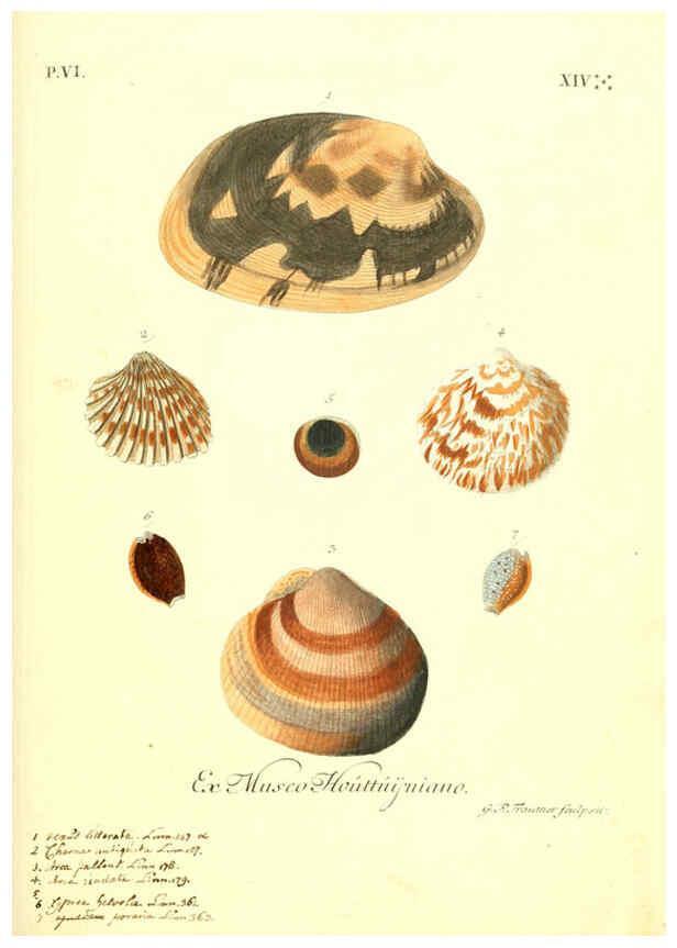 Reproducción/Reproduction 6096119481: Vergnügen der Augen und des Gemüths. v.2 atlas. [Nuremberg :1757