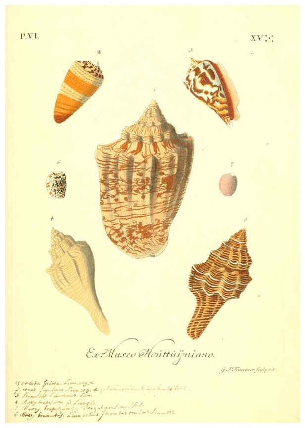 Reproducción/Reproduction 6096664348: Vergnügen der Augen und des Gemüths. v.2 atlas. [Nuremberg :1757