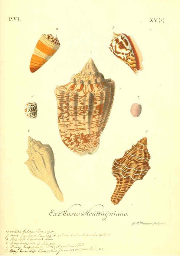 Reproducción/Reproduction 6096664348: Vergnügen der Augen und des Gemüths. v.2 atlas. [Nuremberg :1757