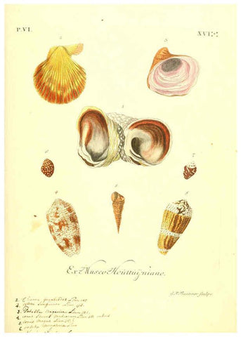 Reproducción/Reproduction 6096120011: Vergnügen der Augen und des Gemüths. v.2 atlas. [Nuremberg :1757