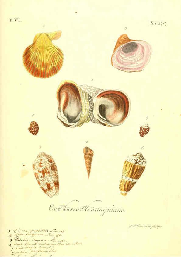 Reproducción/Reproduction 6096120011: Vergnügen der Augen und des Gemüths. v.2 atlas. [Nuremberg :1757