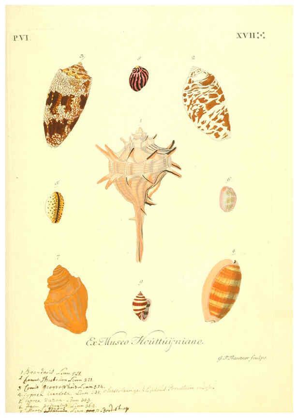 Reproducción/Reproduction 6096120191: Vergnügen der Augen und des Gemüths. v.2 atlas. [Nuremberg :1757
