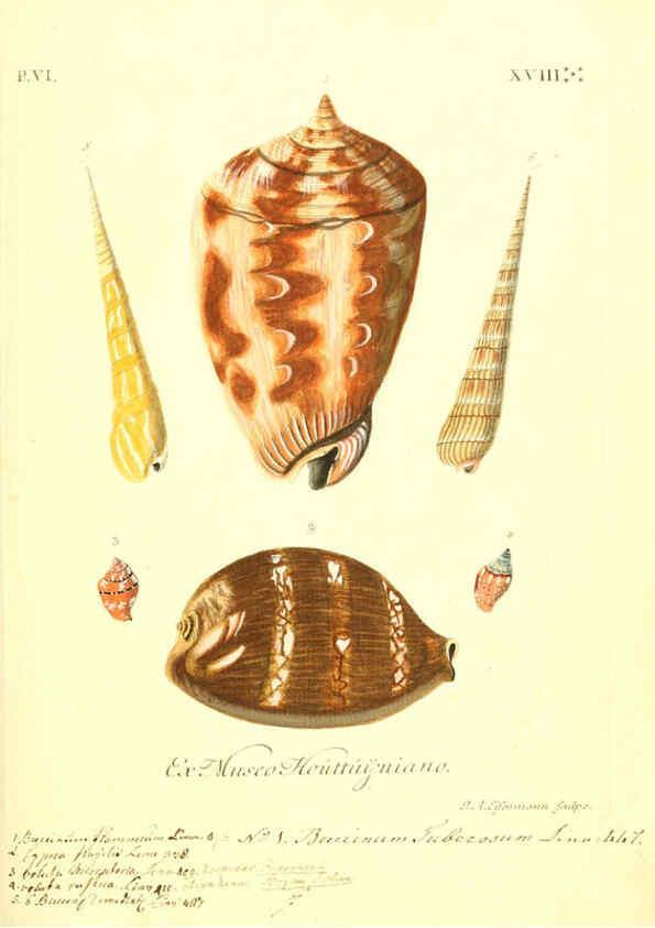 Reproducción/Reproduction 6096665060: Vergnügen der Augen und des Gemüths. v.2 atlas. [Nuremberg :1757