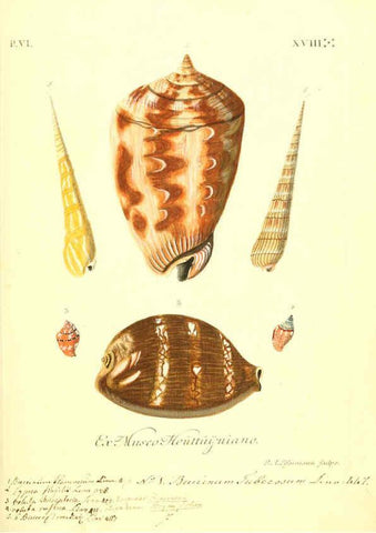 Reproducción/Reproduction 6096665060: Vergnügen der Augen und des Gemüths. v.2 atlas. [Nuremberg :1757
