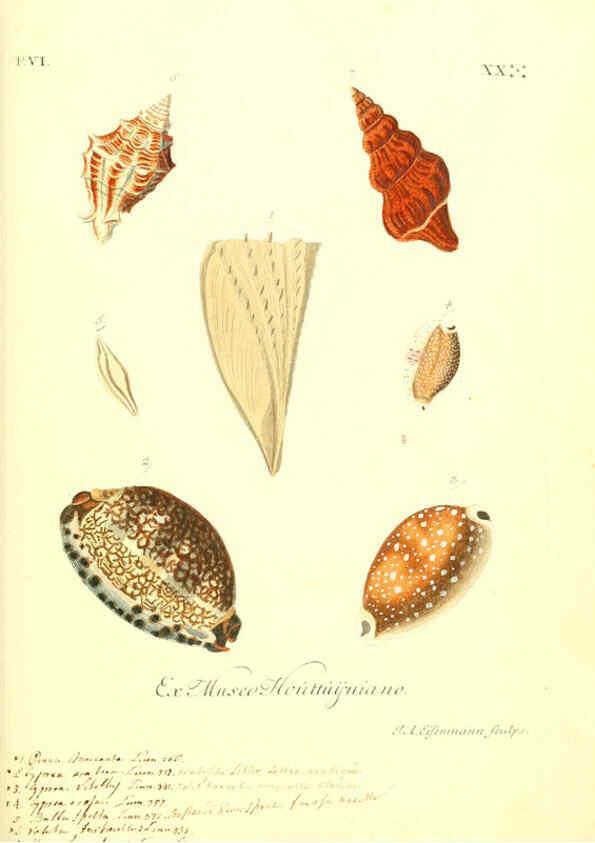 Reproducción/Reproduction 6096665580: Vergnügen der Augen und des Gemüths. v.2 atlas. [Nuremberg :1757