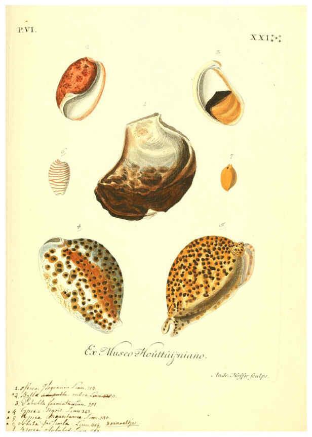 Reproducción/Reproduction 6096665842: Vergnügen der Augen und des Gemüths. v.2 atlas. [Nuremberg :1757