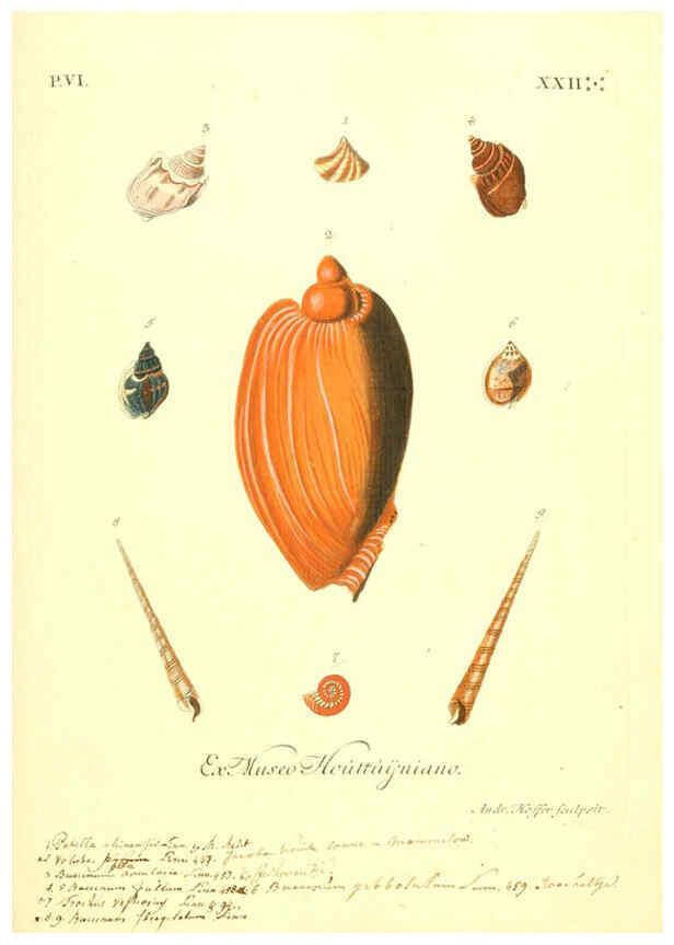 Reproducción/Reproduction 6096121343: Vergnügen der Augen und des Gemüths. v.2 atlas. [Nuremberg :1757