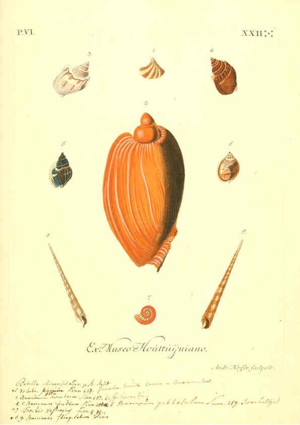 Reproducción/Reproduction 6096121343: Vergnügen der Augen und des Gemüths. v.2 atlas. [Nuremberg :1757
