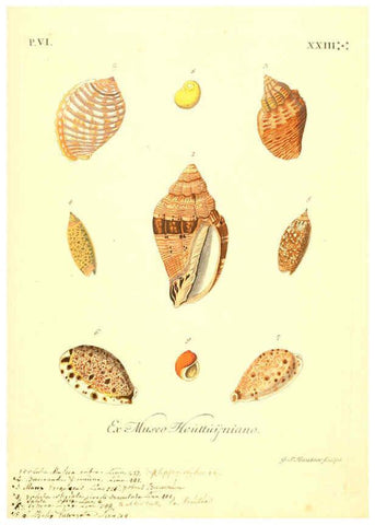 Reproducción/Reproduction 6096666298: Vergnügen der Augen und des Gemüths. v.2 atlas. [Nuremberg :1757