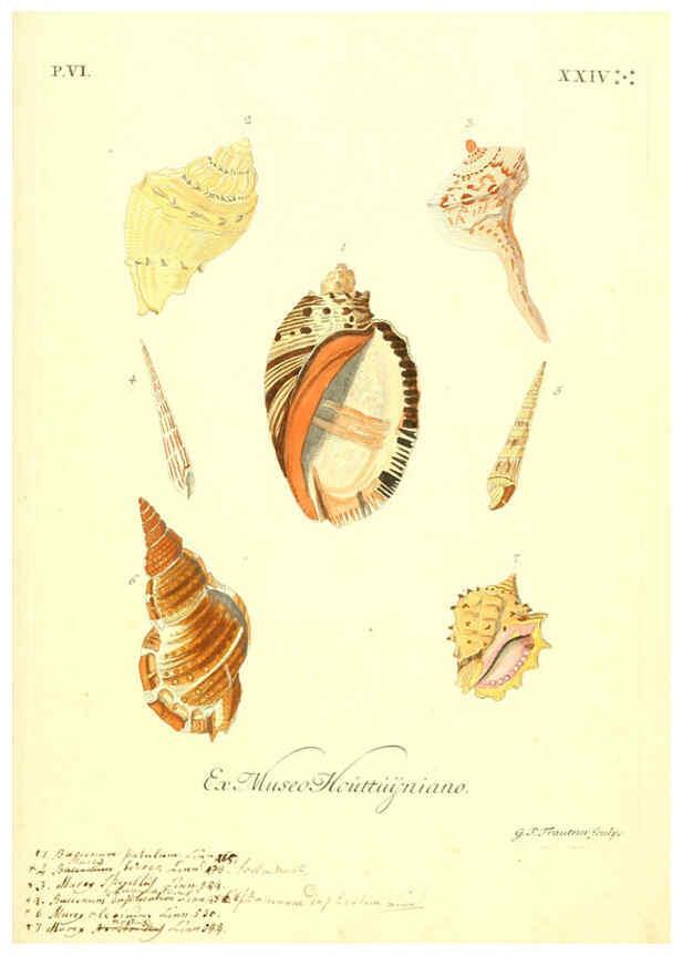 Reproducción/Reproduction 6096122049: Vergnügen der Augen und des Gemüths. v.2 atlas. [Nuremberg :1757