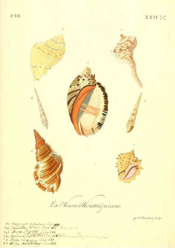 Reproducción/Reproduction 6096122049: Vergnügen der Augen und des Gemüths. v.2 atlas. [Nuremberg :1757