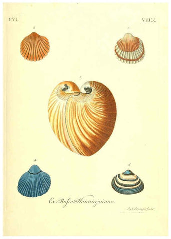 Reproducción/Reproduction 6096117491: Vergnügen der Augen und des Gemüths. v.2 atlas. [Nuremberg :1757
