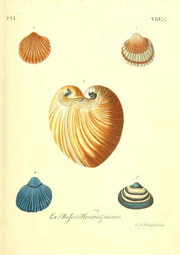 Reproducción/Reproduction 6096117491: Vergnügen der Augen und des Gemüths. v.2 atlas. [Nuremberg :1757