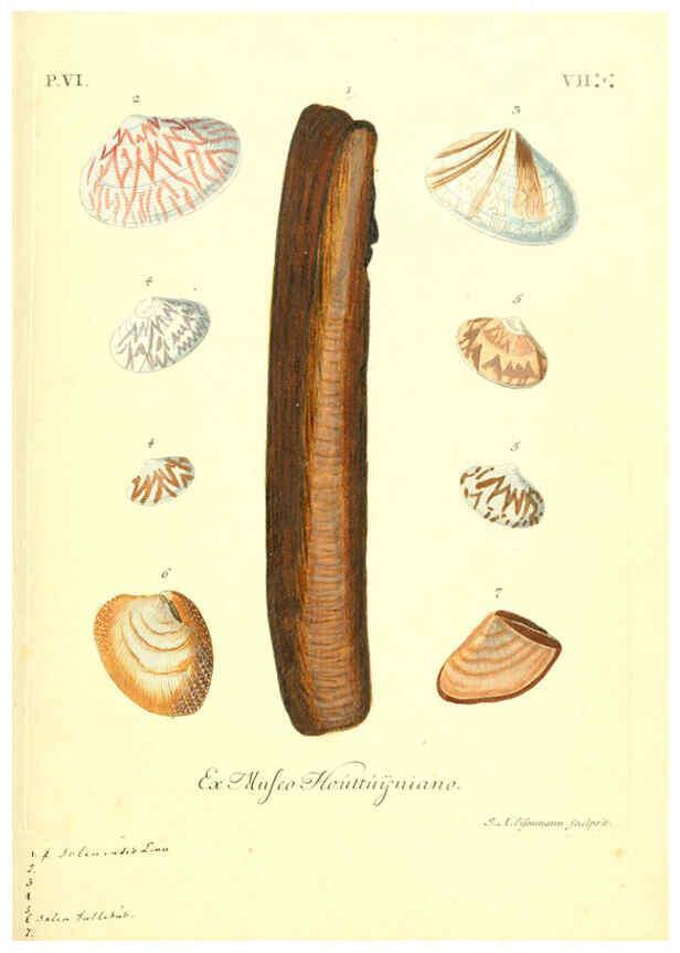 Reproducción/Reproduction 6096117207: Vergnügen der Augen und des Gemüths. v.2 atlas. [Nuremberg :1757