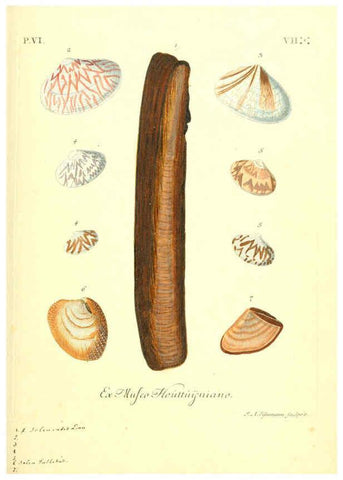 Reproducción/Reproduction 6096117207: Vergnügen der Augen und des Gemüths. v.2 atlas. [Nuremberg :1757