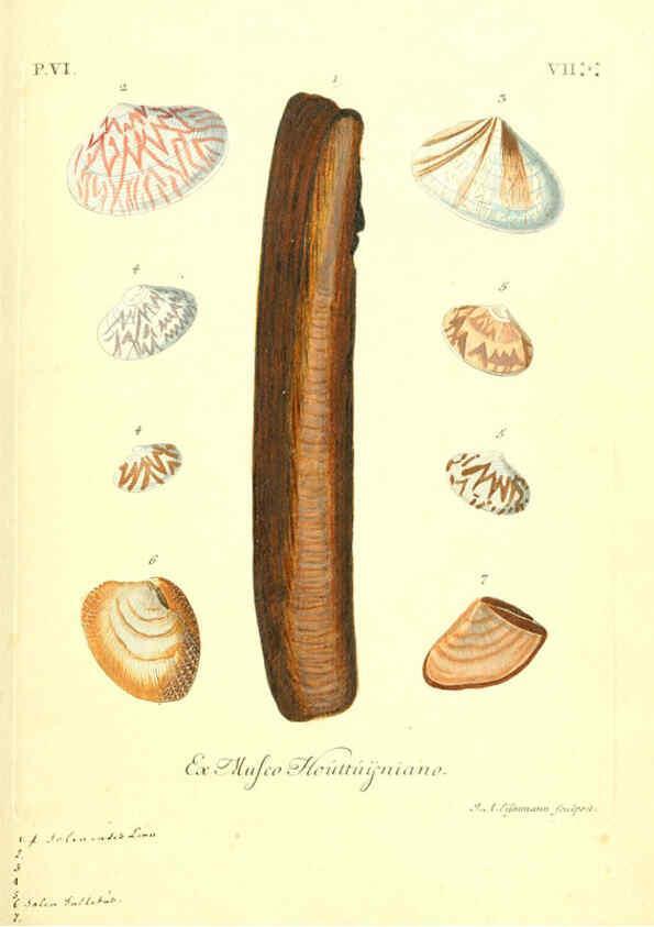 Reproducción/Reproduction 6096117207: Vergnügen der Augen und des Gemüths. v.2 atlas. [Nuremberg :1757