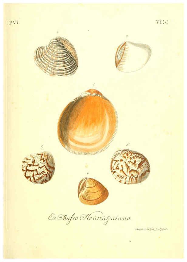 Reproducción/Reproduction 6096116899: Vergnügen der Augen und des Gemüths. v.2 atlas. [Nuremberg :1757