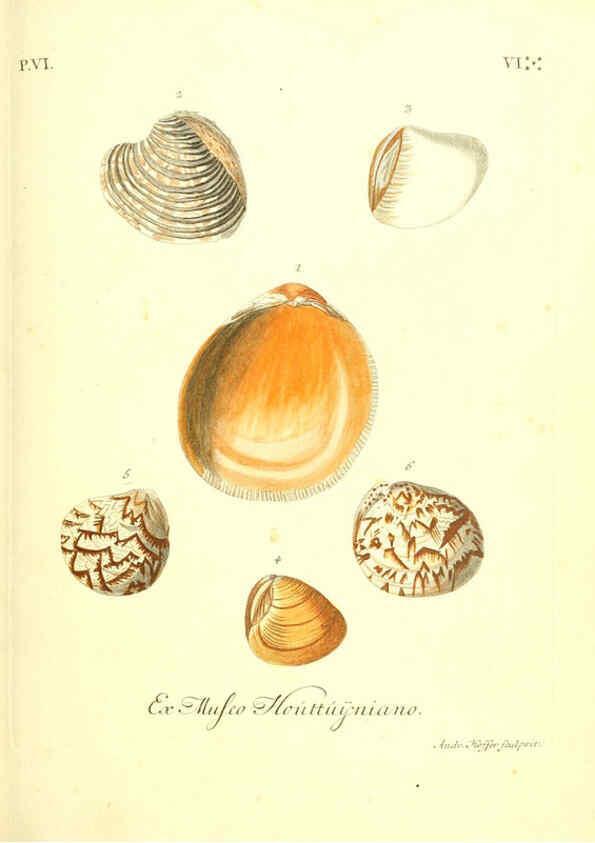 Reproducción/Reproduction 6096116899: Vergnügen der Augen und des Gemüths. v.2 atlas. [Nuremberg :1757