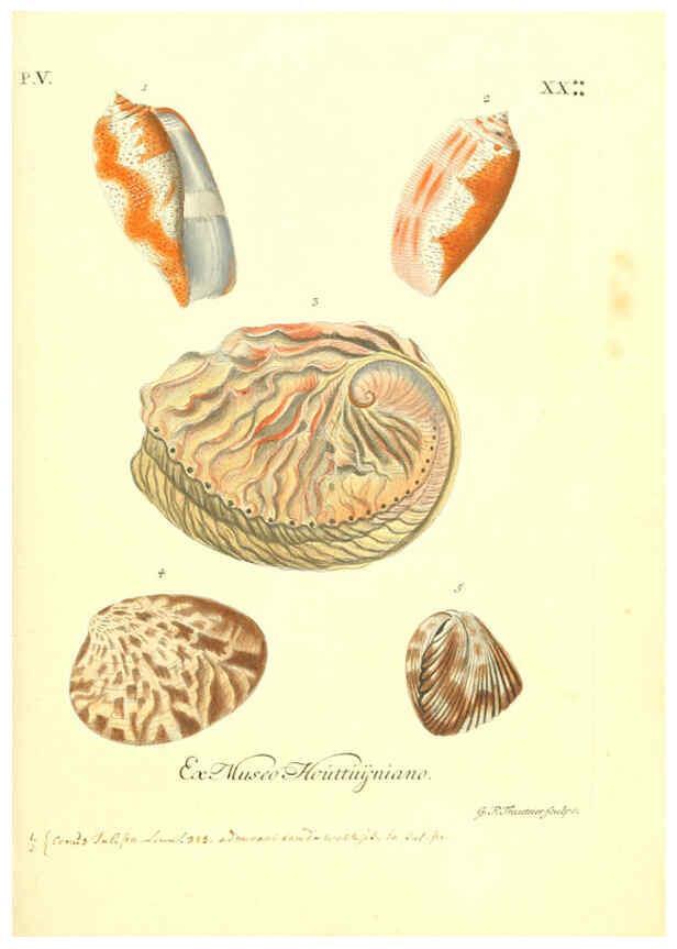 Reproducción/Reproduction 6096111151: Vergnügen der Augen und des Gemüths. v.2 atlas. [Nuremberg :1757