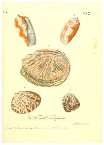 Reproducción/Reproduction 6096111151: Vergnügen der Augen und des Gemüths. v.2 atlas. [Nuremberg :1757