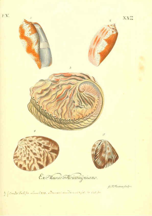 Reproducción/Reproduction 6096111151: Vergnügen der Augen und des Gemüths. v.2 atlas. [Nuremberg :1757