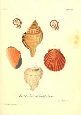 Reproducción/Reproduction 6096656162: Vergnügen der Augen und des Gemüths. v.2 atlas. [Nuremberg :1757