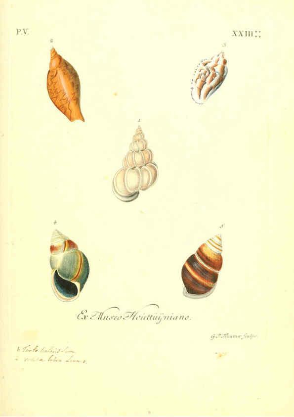 Reproducción/Reproduction 6096111863: Vergnügen der Augen und des Gemüths. v.2 atlas. [Nuremberg :1757
