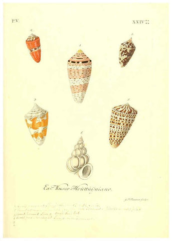 Reproducción/Reproduction 6096656862: Vergnügen der Augen und des Gemüths. v.2 atlas. [Nuremberg :1757