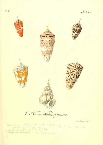 Reproducción/Reproduction 6096656862: Vergnügen der Augen und des Gemüths. v.2 atlas. [Nuremberg :1757