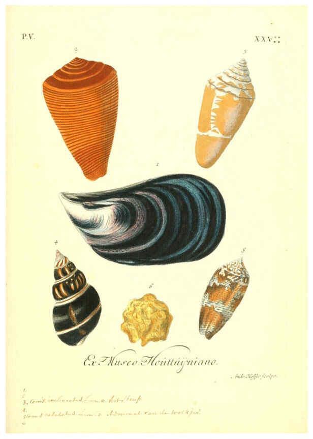 Reproducción/Reproduction 6096657130: Vergnügen der Augen und des Gemüths. v.2 atlas. [Nuremberg :1757