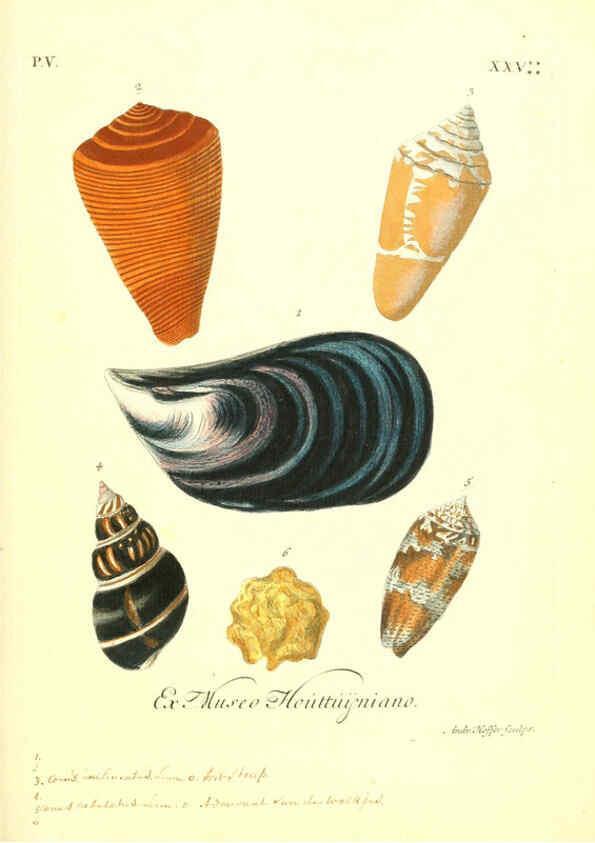Reproducción/Reproduction 6096657130: Vergnügen der Augen und des Gemüths. v.2 atlas. [Nuremberg :1757