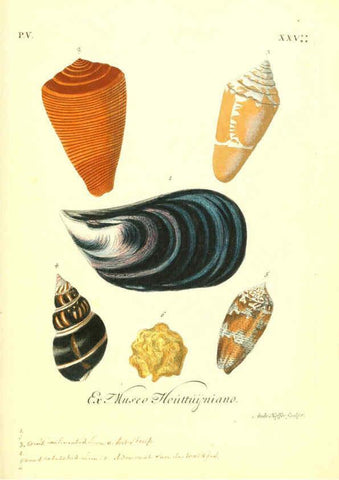Reproducción/Reproduction 6096657130: Vergnügen der Augen und des Gemüths. v.2 atlas. [Nuremberg :1757