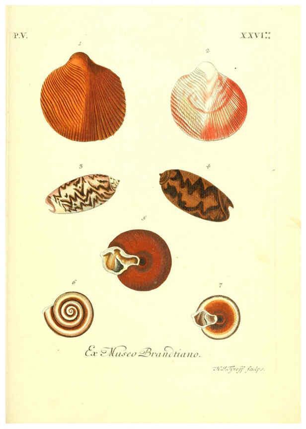 Reproducción/Reproduction 6096657338: Vergnügen der Augen und des Gemüths. v.2 atlas. [Nuremberg :1757