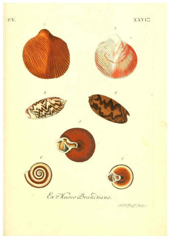 Reproducción/Reproduction 6096657338: Vergnügen der Augen und des Gemüths. v.2 atlas. [Nuremberg :1757