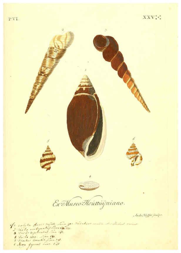 Reproducción/Reproduction 6096122233: Vergnügen der Augen und des Gemüths. v.2 atlas. [Nuremberg :1757
