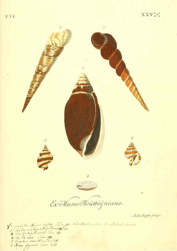 Reproducción/Reproduction 6096122233: Vergnügen der Augen und des Gemüths. v.2 atlas. [Nuremberg :1757