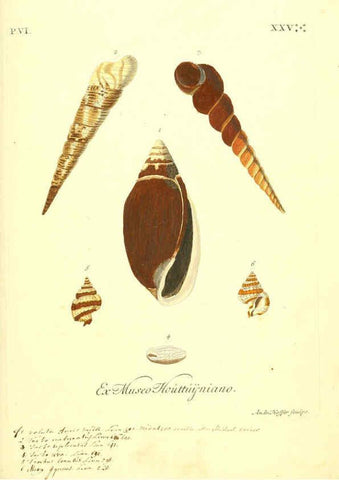 Reproducción/Reproduction 6096122233: Vergnügen der Augen und des Gemüths. v.2 atlas. [Nuremberg :1757