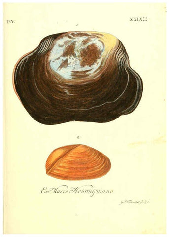 Reproducción/Reproduction 6096658158: Vergnügen der Augen und des Gemüths. v.2 atlas. [Nuremberg :1757