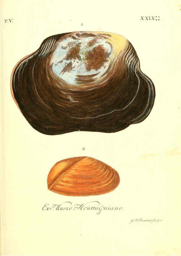 Reproducción/Reproduction 6096658158: Vergnügen der Augen und des Gemüths. v.2 atlas. [Nuremberg :1757