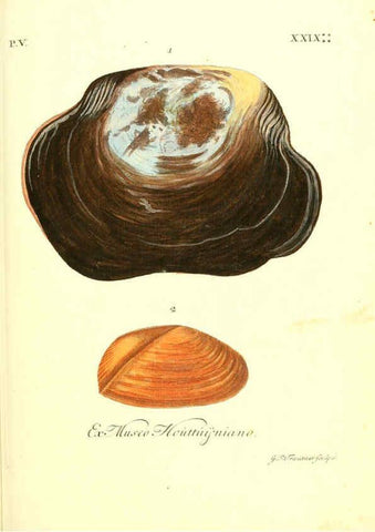 Reproducción/Reproduction 6096658158: Vergnügen der Augen und des Gemüths. v.2 atlas. [Nuremberg :1757