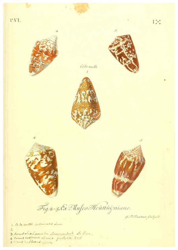 Reproducción/Reproduction 6096115513: Vergnügen der Augen und des Gemüths. v.2 atlas. [Nuremberg :1757
