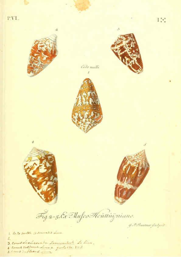 Reproducción/Reproduction 6096115513: Vergnügen der Augen und des Gemüths. v.2 atlas. [Nuremberg :1757
