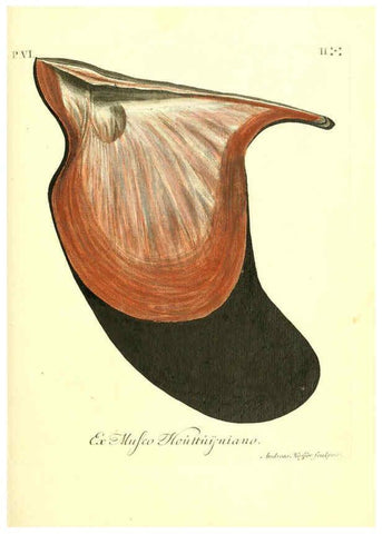 Reproducción/Reproduction 6096660514: Vergnügen der Augen und des Gemüths. v.2 atlas. [Nuremberg :1757