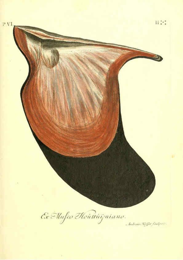 Reproducción/Reproduction 6096660514: Vergnügen der Augen und des Gemüths. v.2 atlas. [Nuremberg :1757